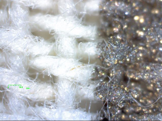 繊維（白色LED）の観察例